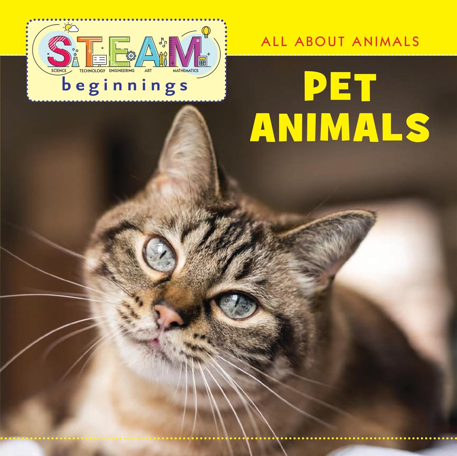 STEAM Beginnings: Pet Animals